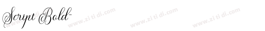Script Bold字体转换